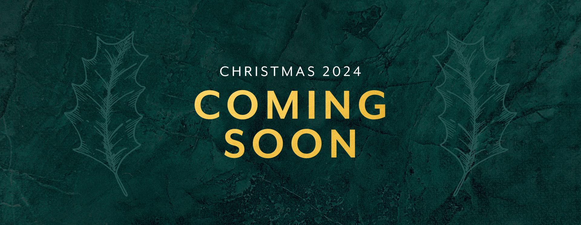 Christmas 2024 at Winterbourne Down