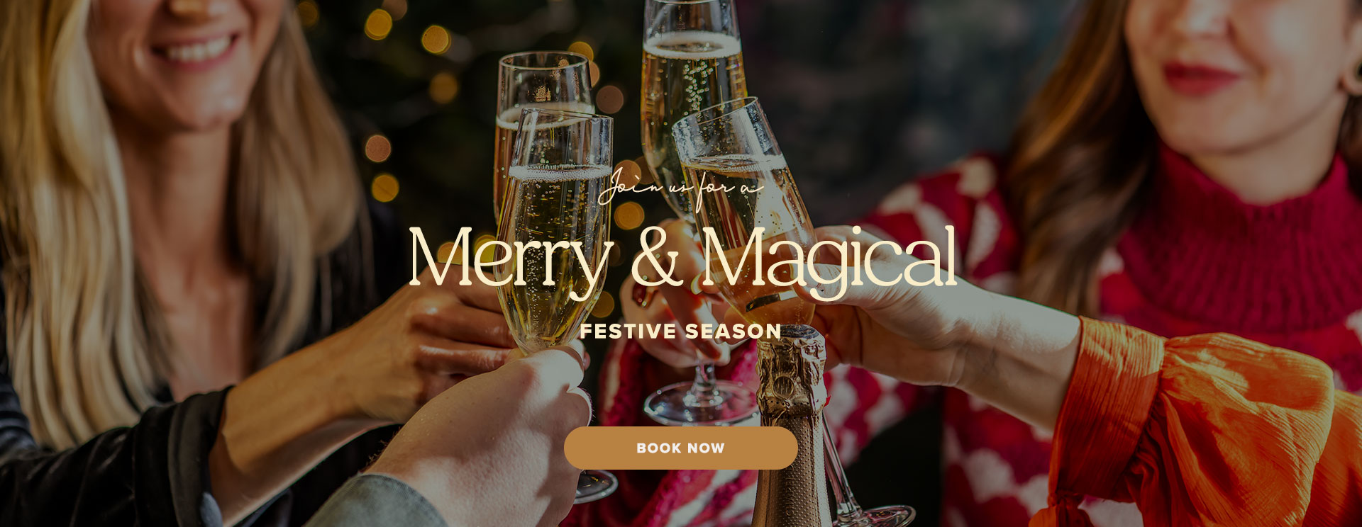 Christmas 2025 at Winterbourne Down