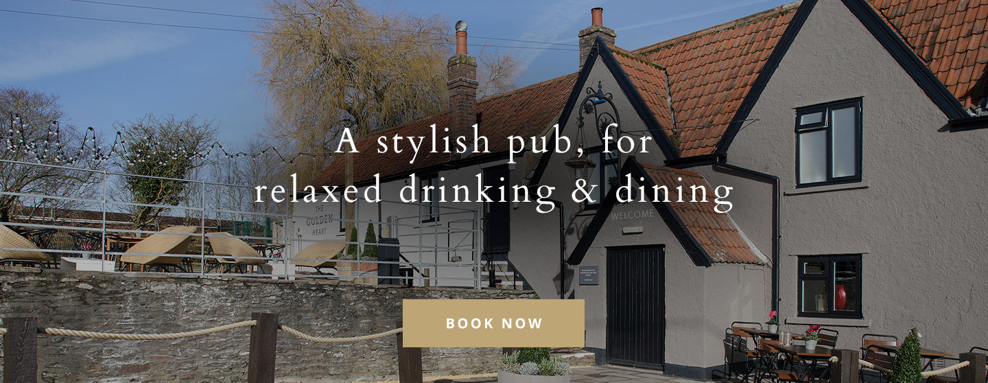 Book Now